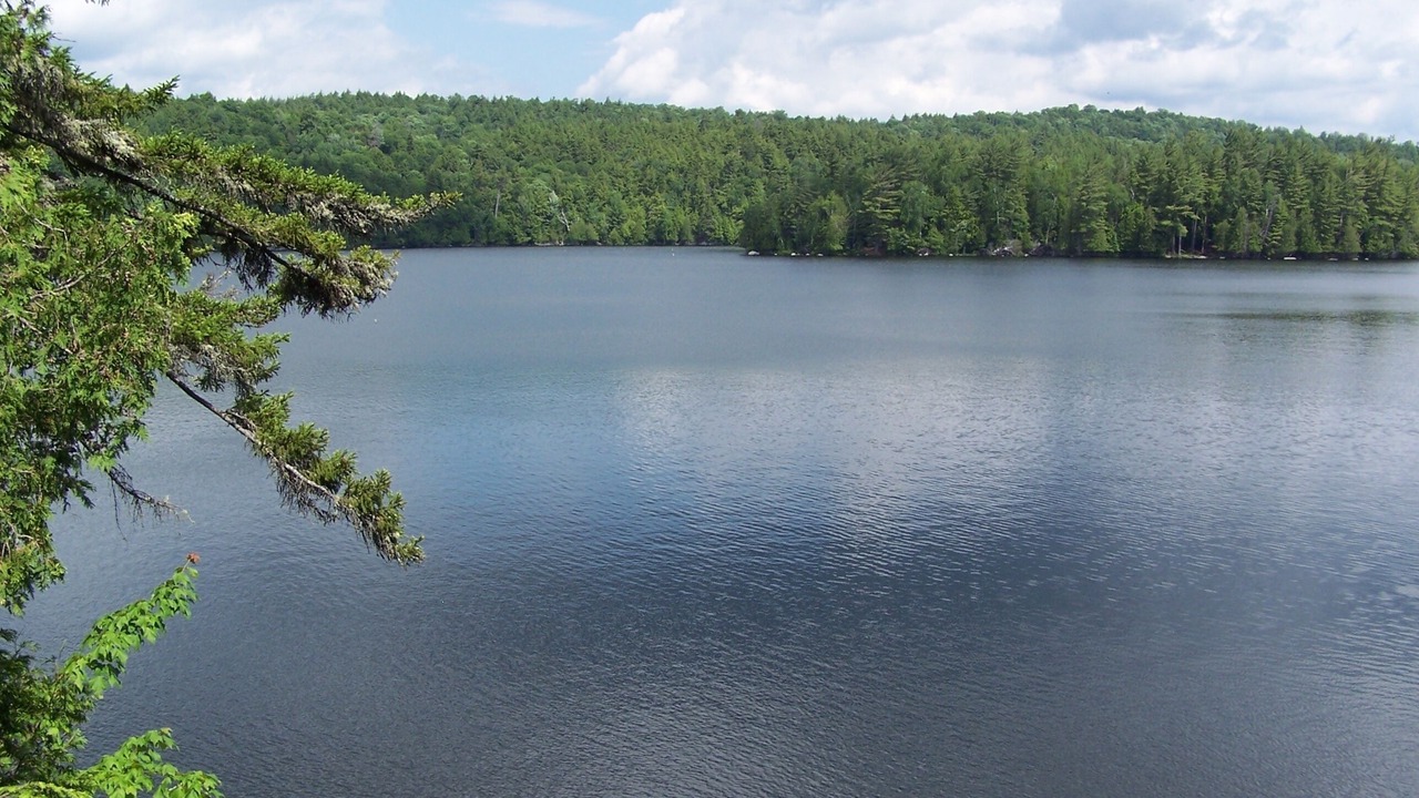 Photo of Outdoor in Saranac Lake