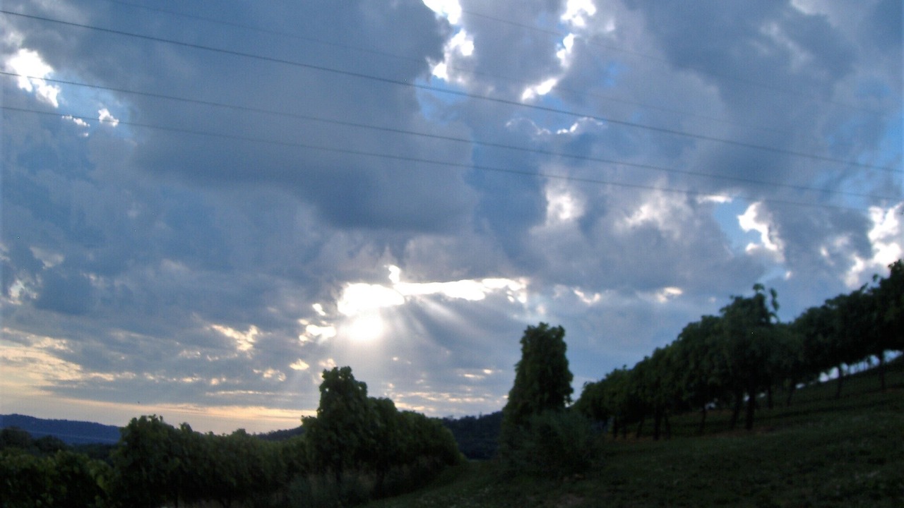 Photo of Others in Vernon County