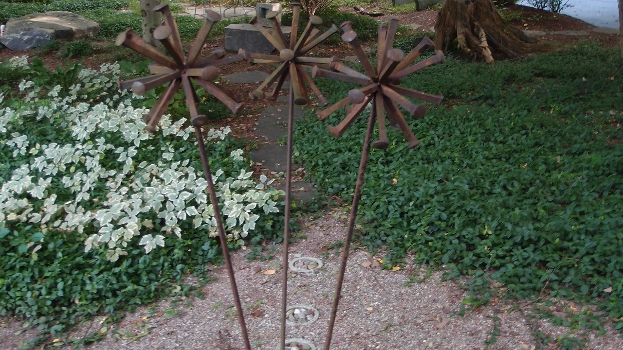 Photo of Outdoor in Colchester
