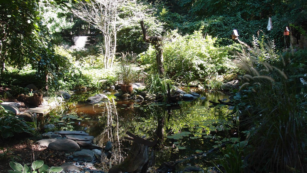 Photo of Outdoor in Colchester