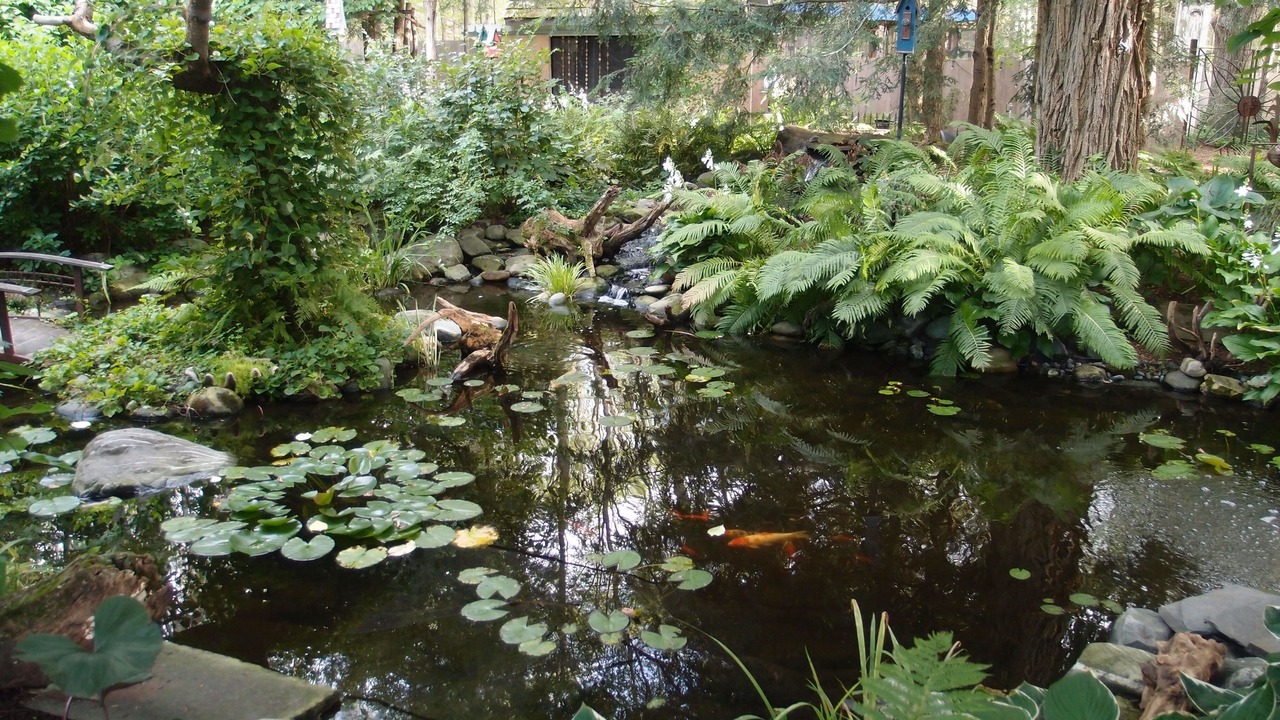 Photo of Outdoor in Colchester