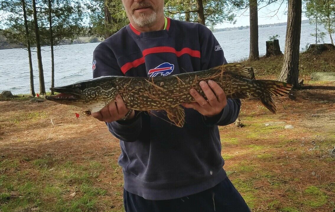 Photo of Others in Hammond