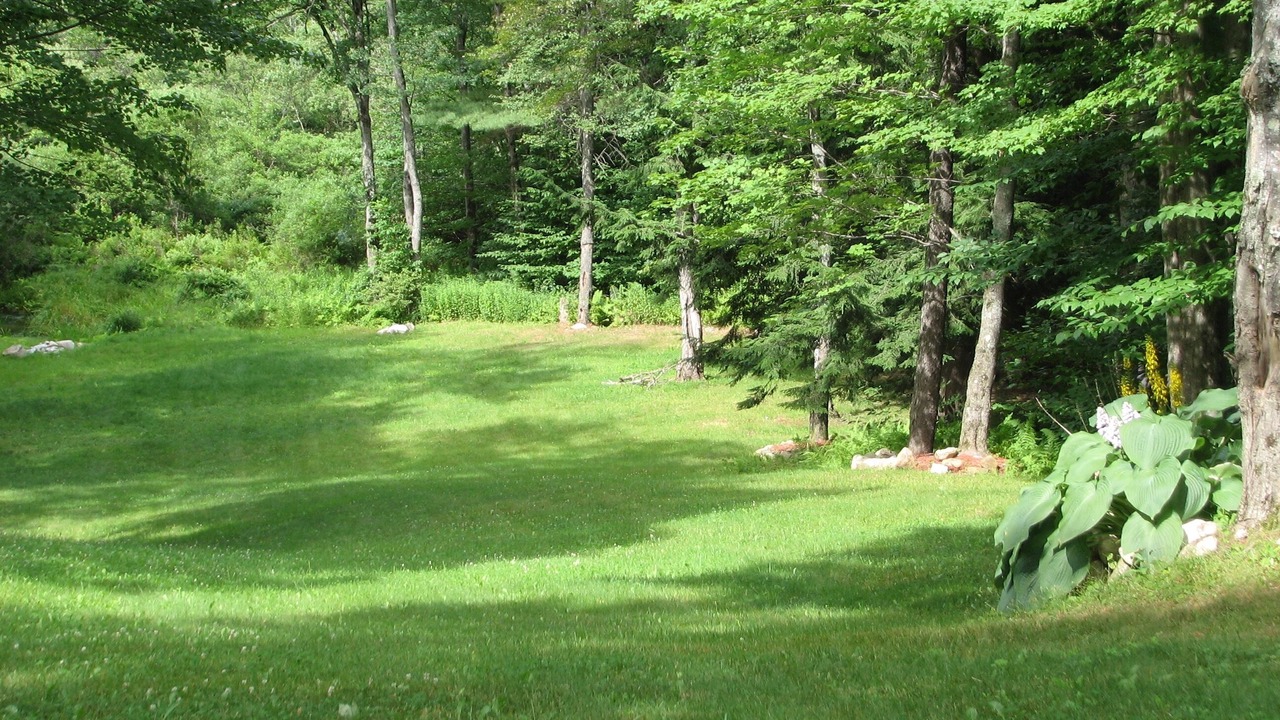 Photo of Outdoor in Washington
