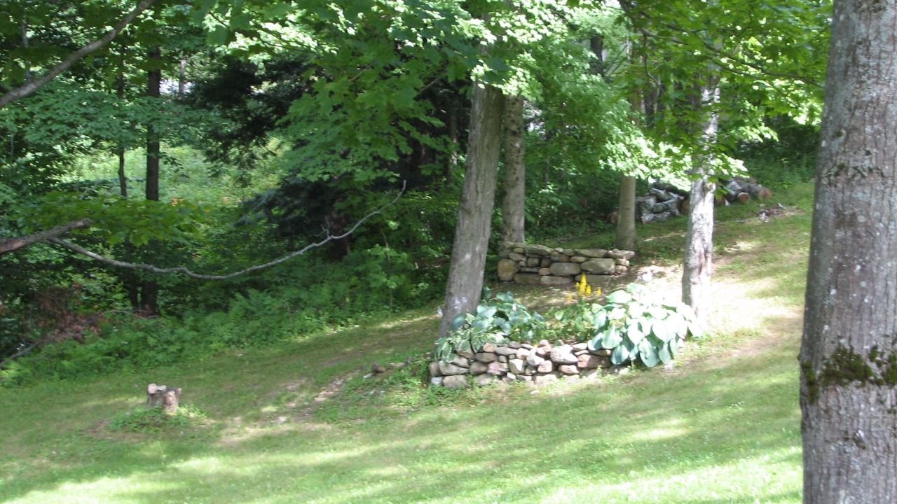 Photo of Outdoor in Washington
