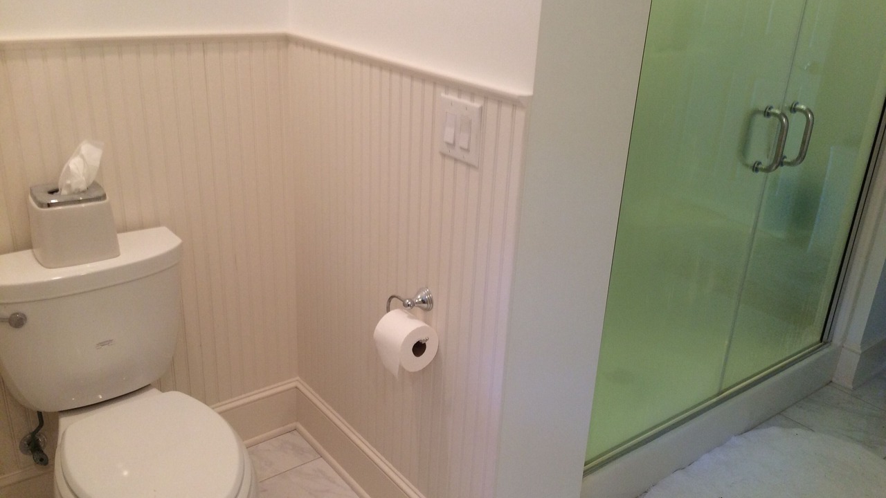 Photo of Bathroom in Mandana