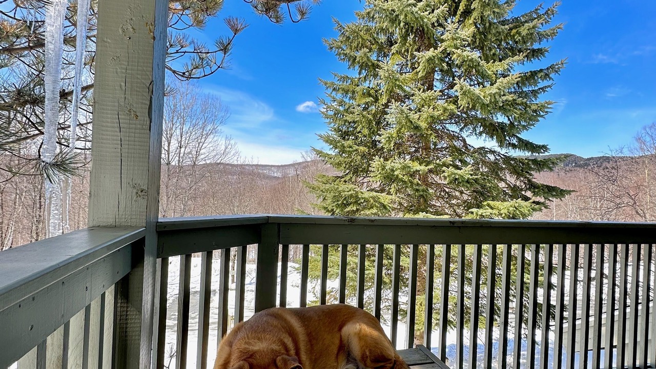 Photo of Outdoor in Bolton Valley