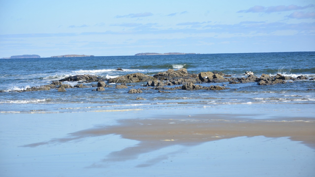 Photo of Others in Southern Coast