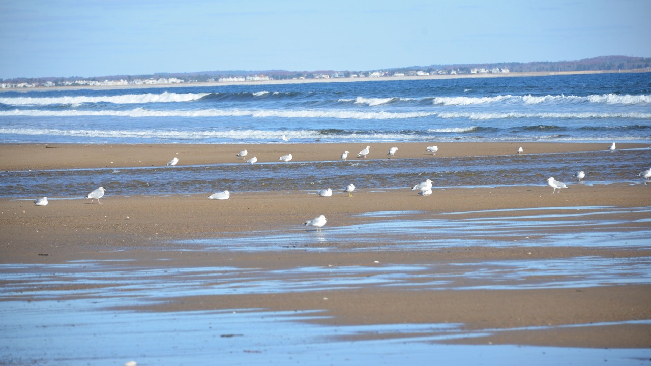 Photo of Others in Southern Coast