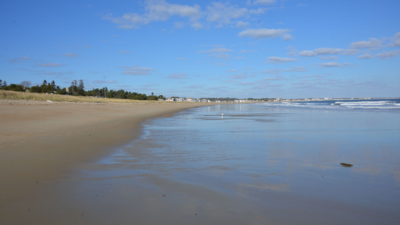 Photo of Others in Southern Coast