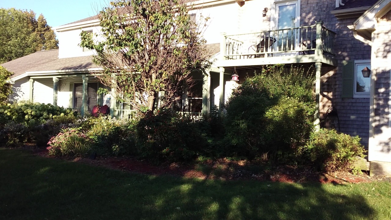 Photo of Outdoor in Isle La Motte