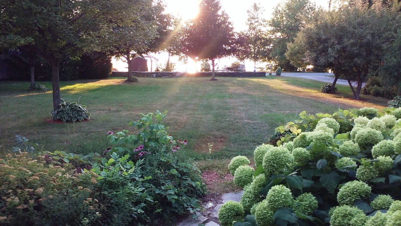 Photo of Outdoor in Isle La Motte