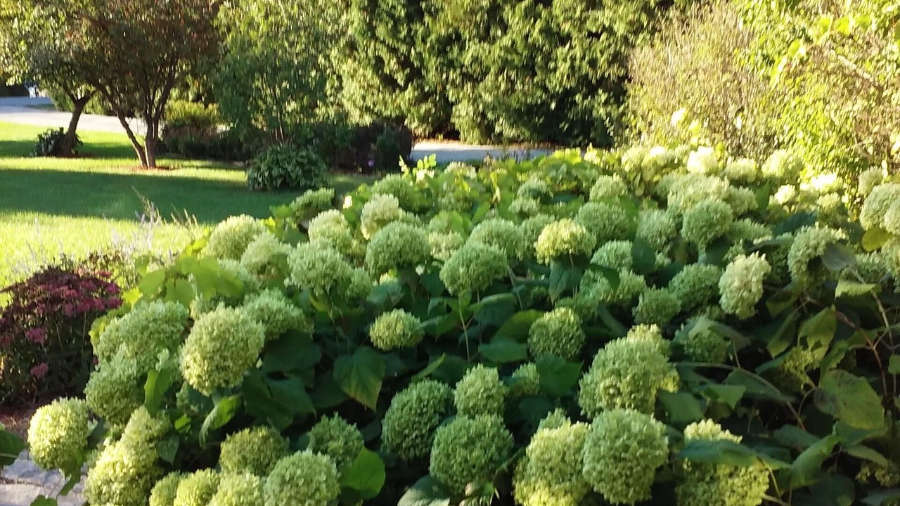 Photo of Outdoor in Isle La Motte