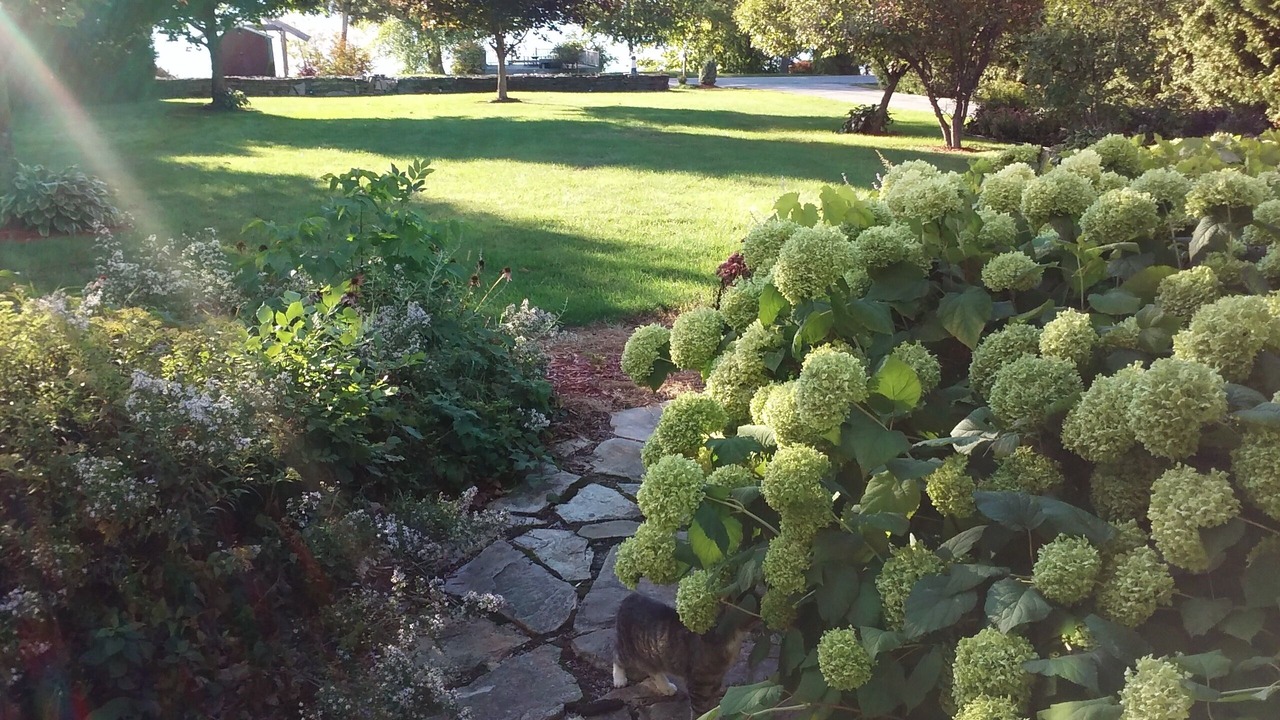 Photo of Outdoor in Isle La Motte