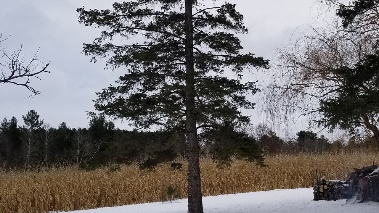 Photo of Others in Balsam Lake