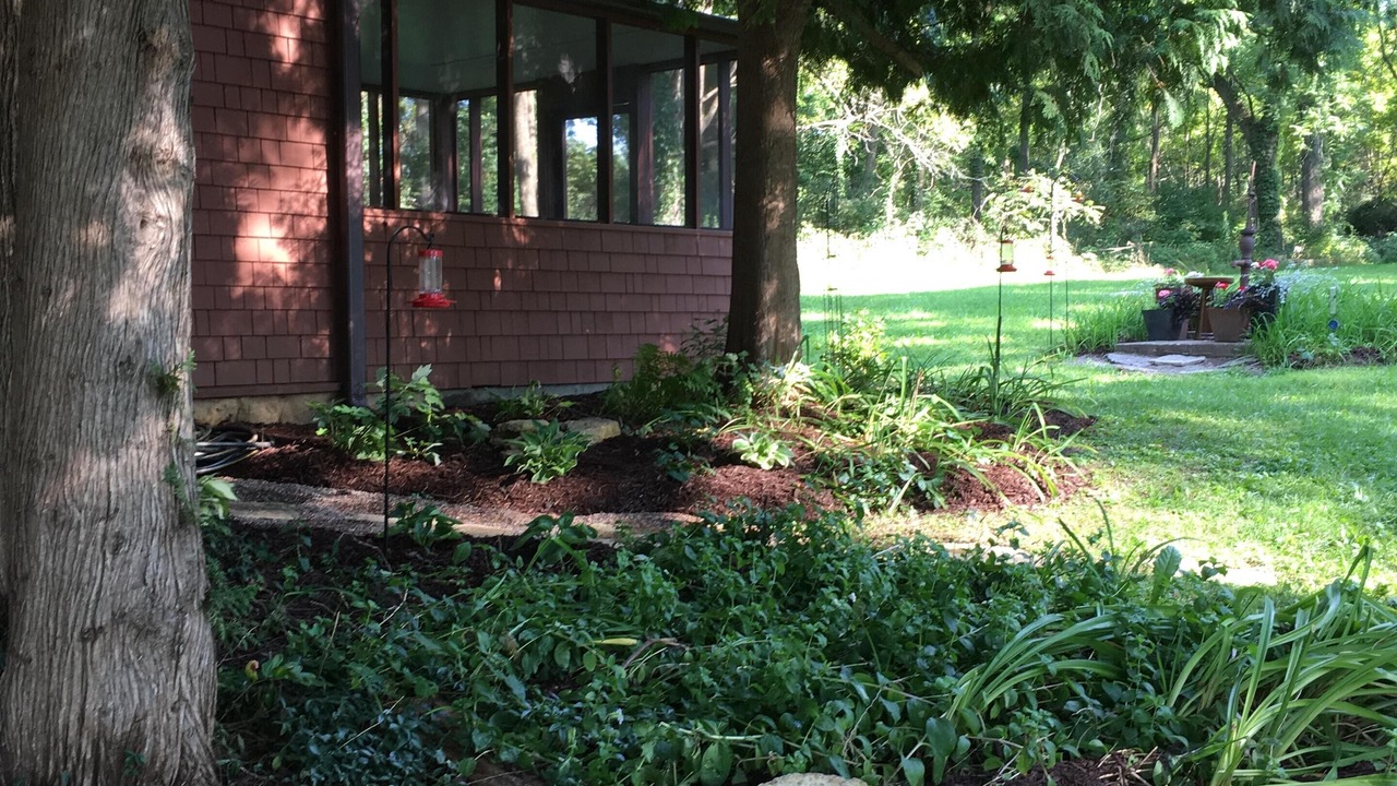 Photo of Outdoor in Spring Green