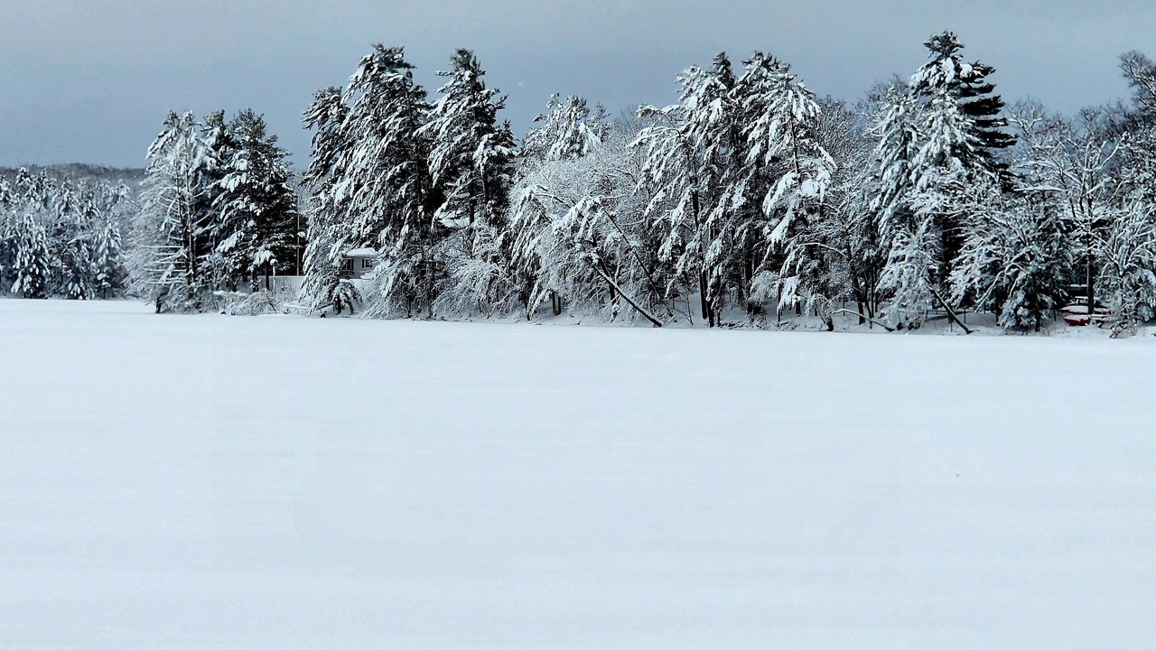 Photo of Others in New Auburn
