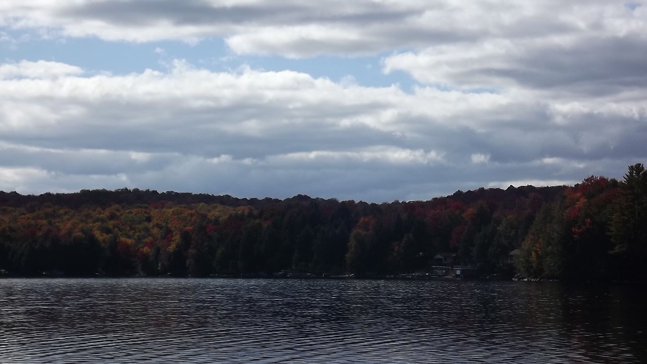 Photo of Outdoor in Town of Clifton