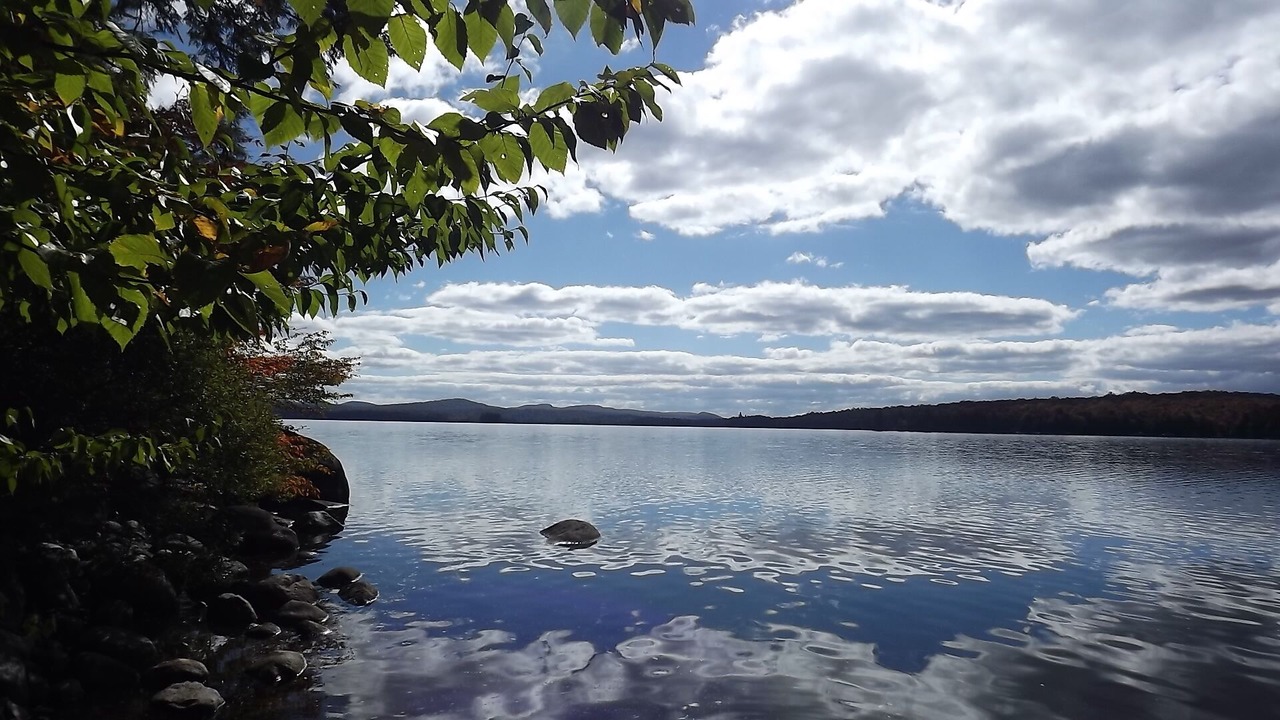 Photo of Outdoor in Town of Clifton