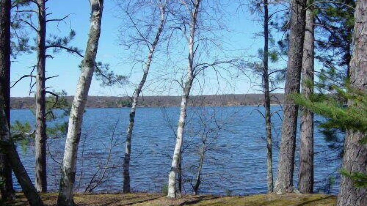 Photo of Outdoor in Webb Lake
