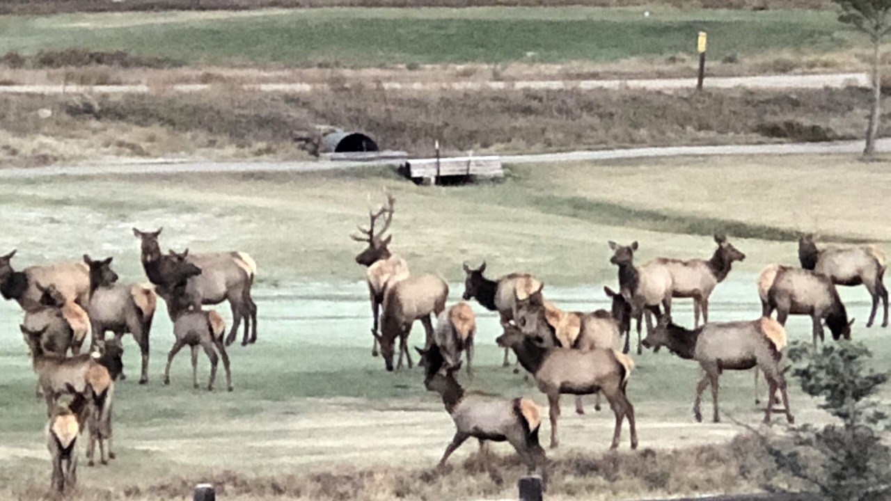 Photo of Others in Angel Fire
