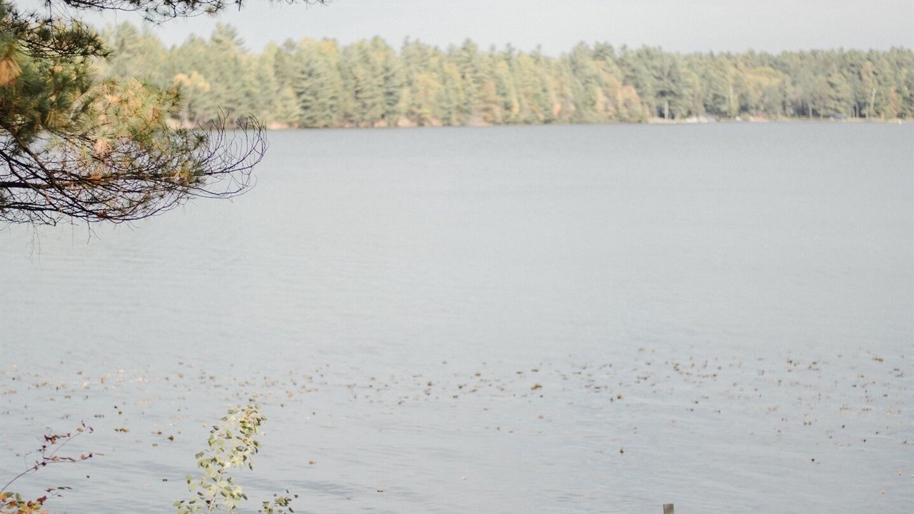 Photo of Outdoor in Manitowish Waters