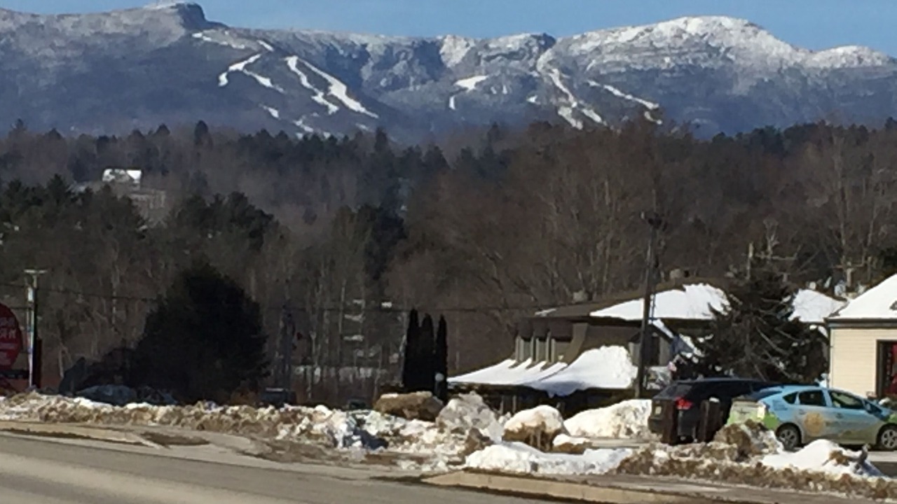 Photo of Others in Stowe Area