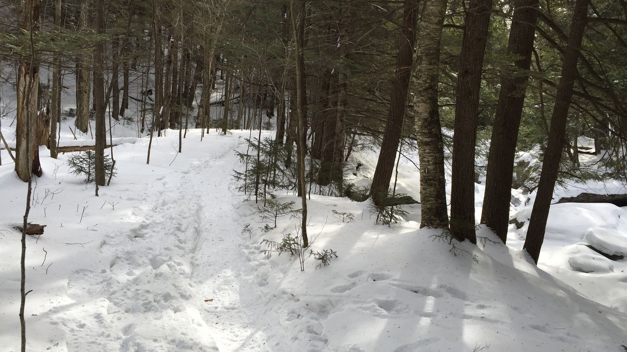 Photo of Others in Stowe Area