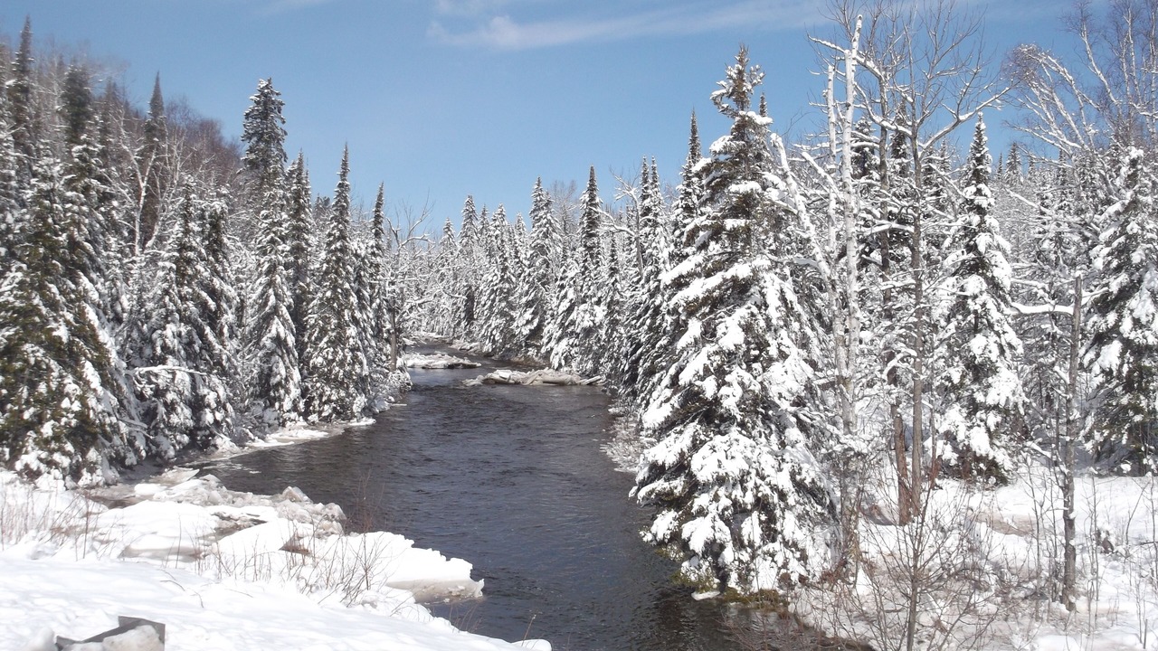 Photo of Others in Two Harbors