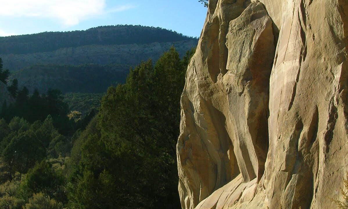 Photo of Others in Gallina