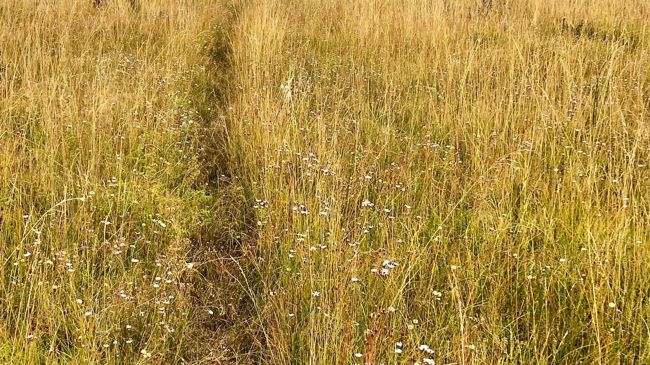 Photo of Outdoor in Gallina