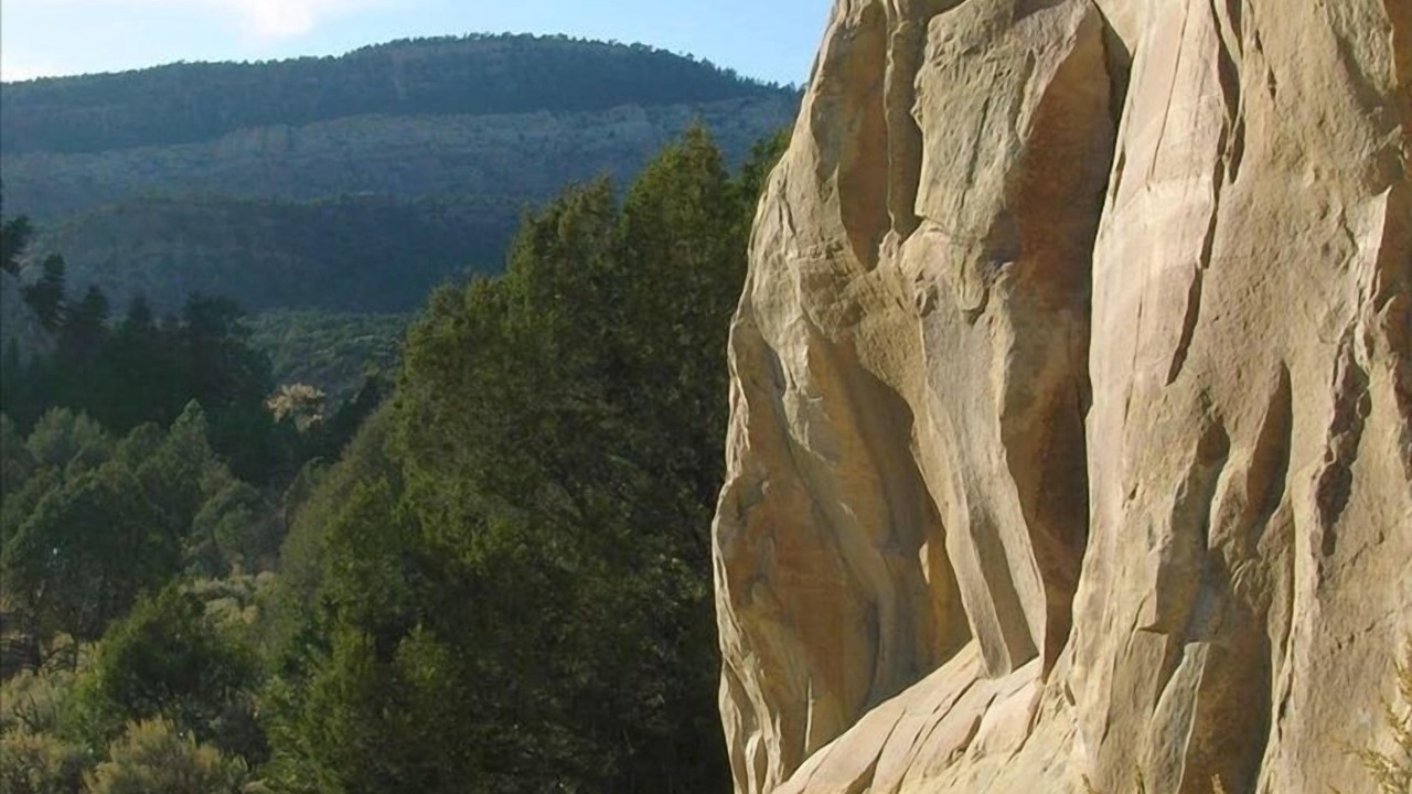 Photo of Others in Gallina