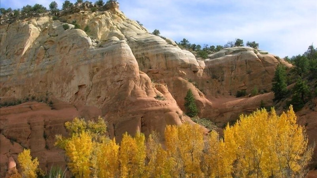 Photo of Outdoor in Gallina