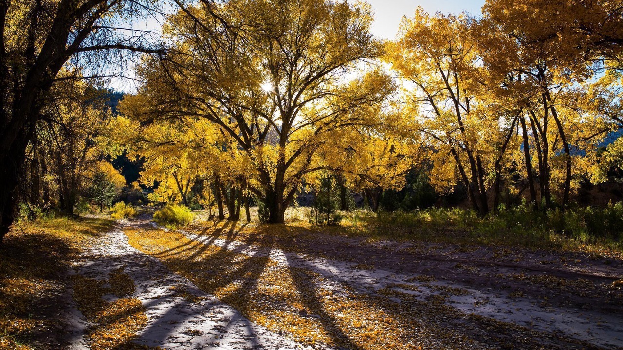 Photo of Outdoor in Gallina