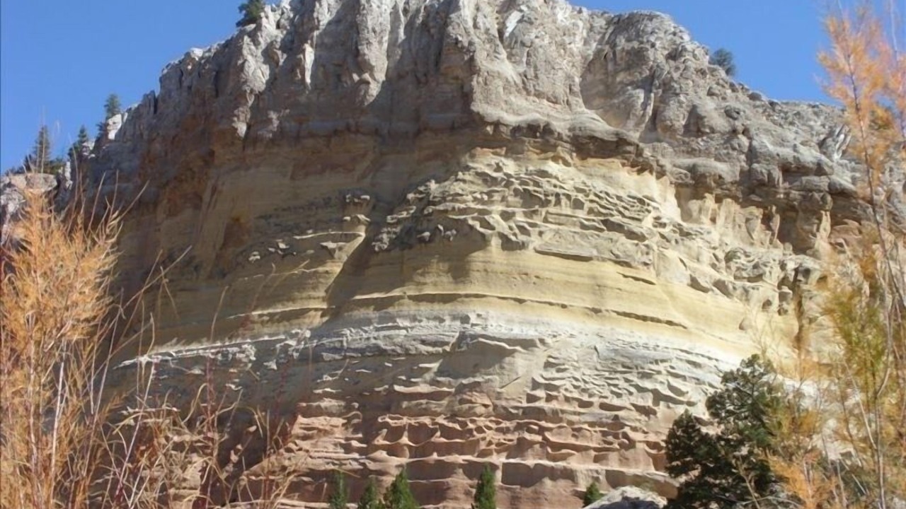 Photo of Others in Gallina