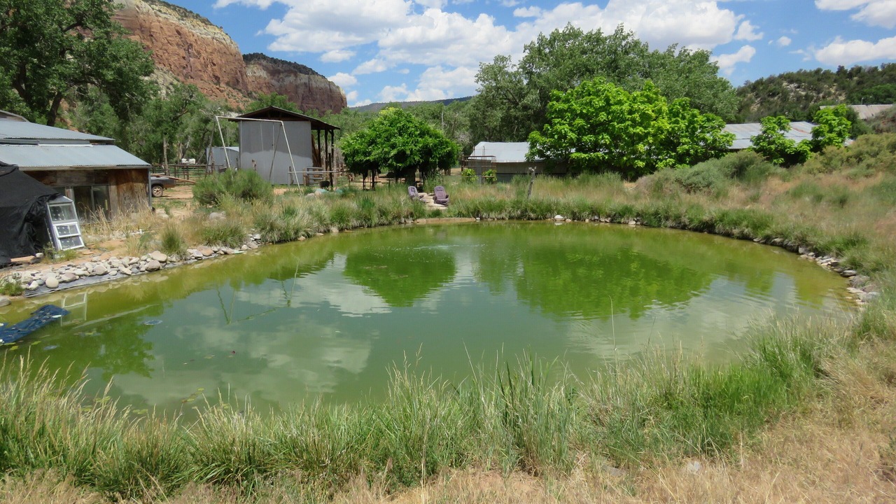 Photo of Outdoor in Gallina