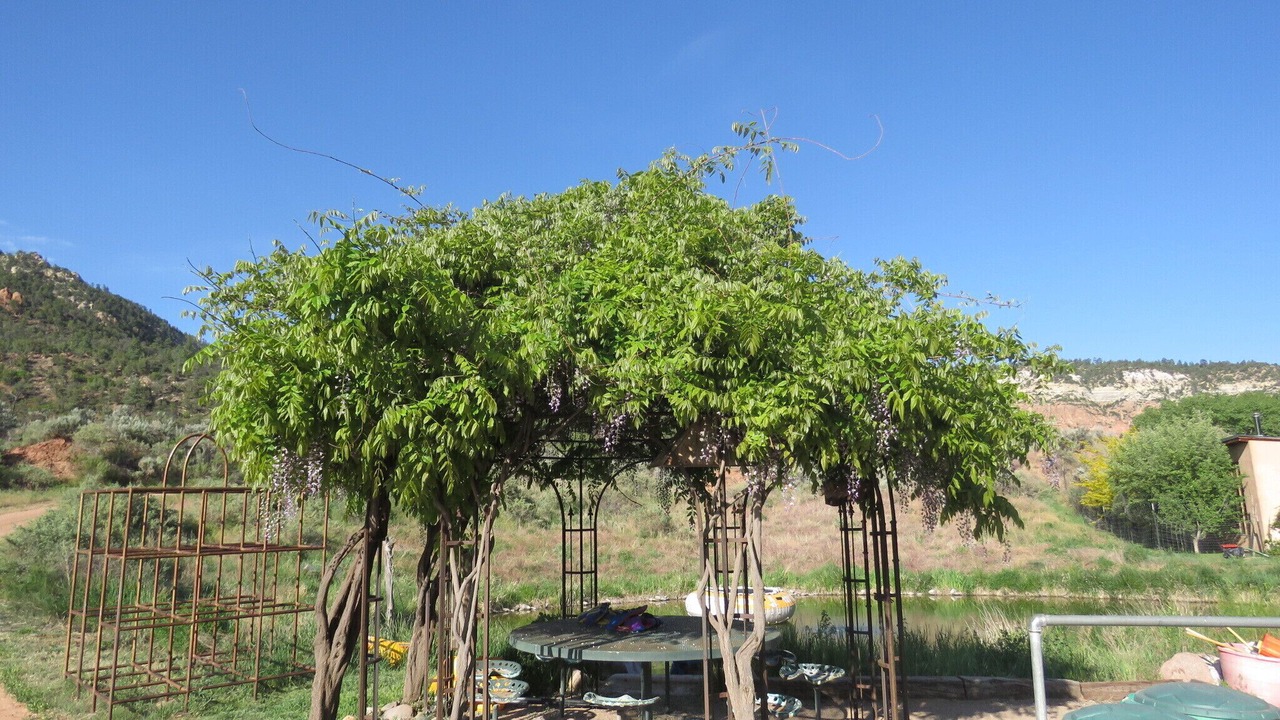 Photo of Outdoor in Gallina