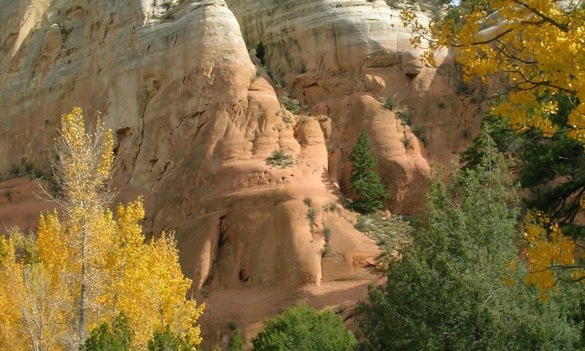 Photo of Outdoor in Gallina