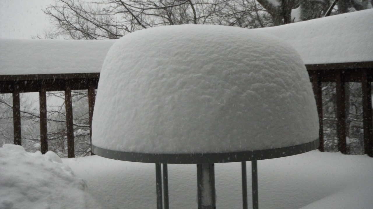 Photo of Others in McGaheysville