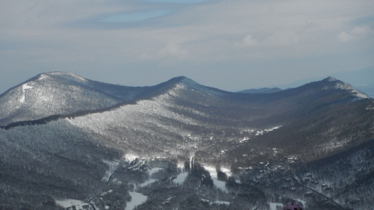 Photo of Others in McGaheysville