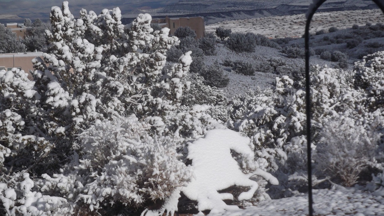 Photo of Outdoor in Placitas
