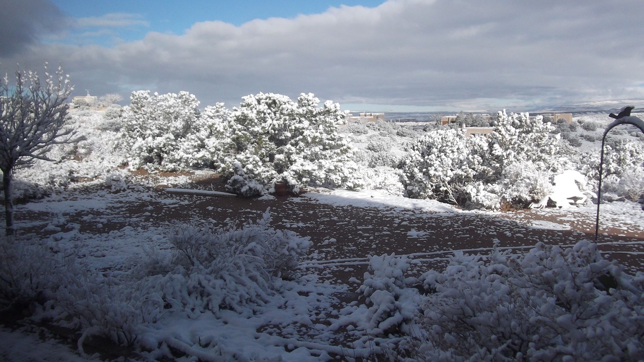 Photo of Others in Placitas