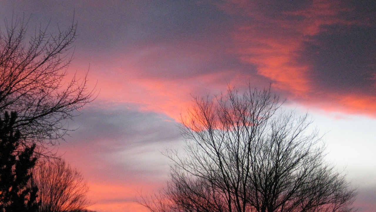 Photo of Others in Taos