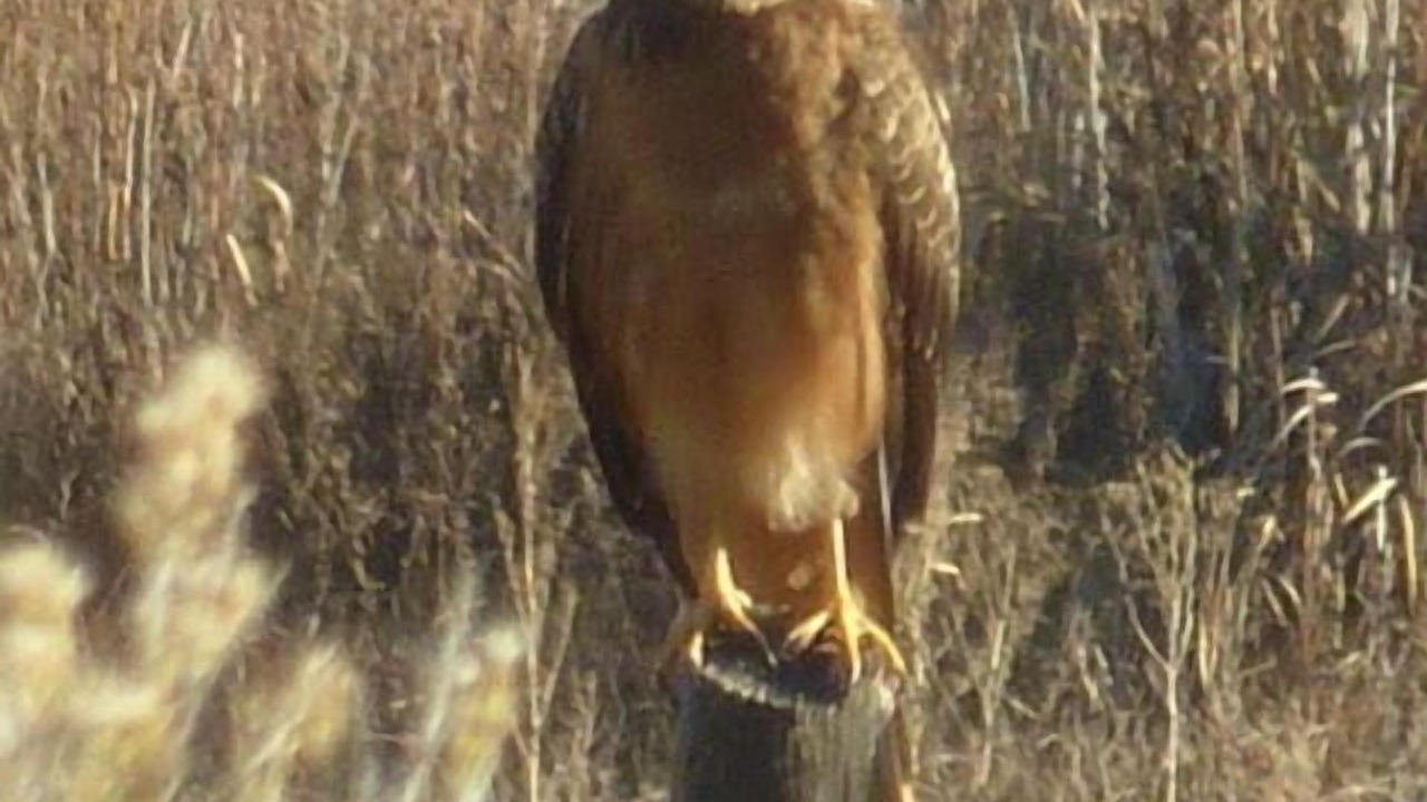 Photo of Others in Taos