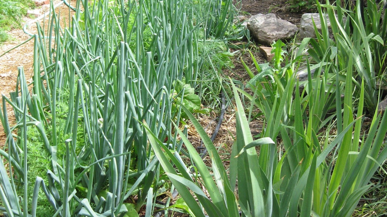 Photo of Outdoor in Taos