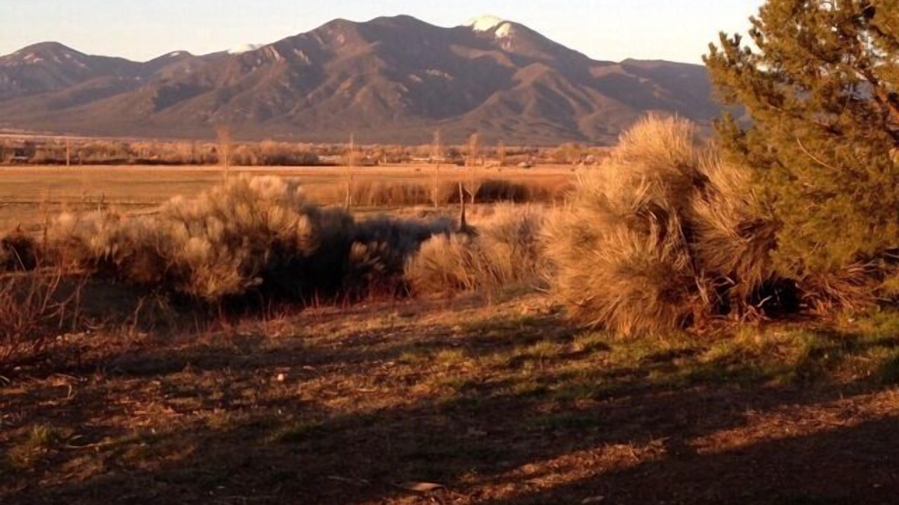 Photo of Others in Taos