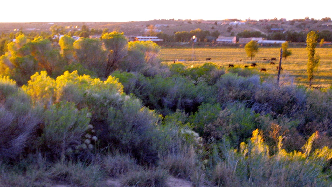 Photo of Others in Taos