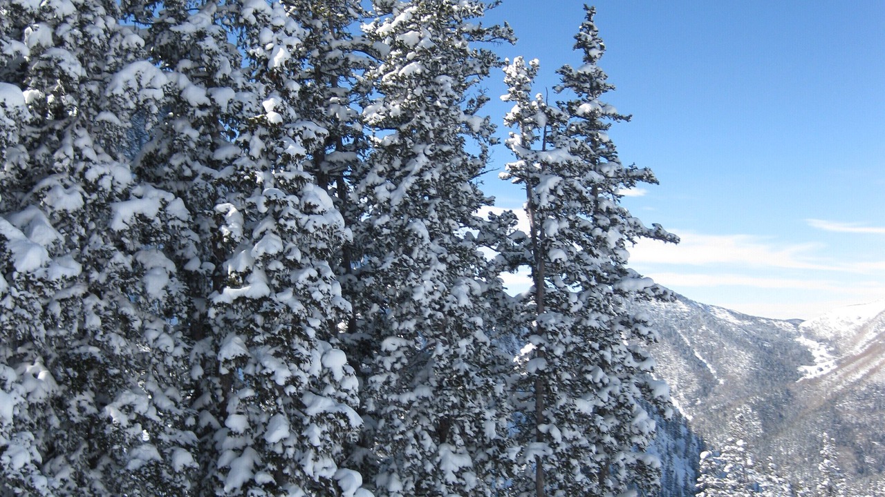 Photo of Outdoor in Taos Ski Valley