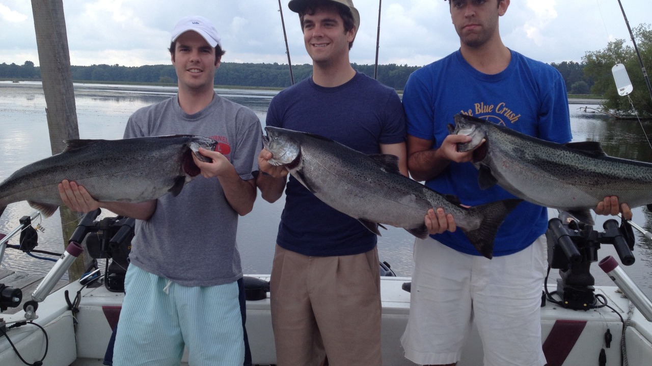 Photo of Others in Port Ontario
