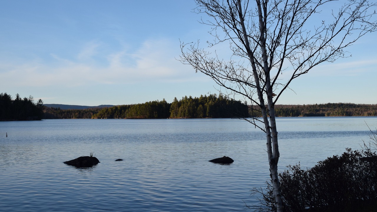Photo of Others in Tupper Lake