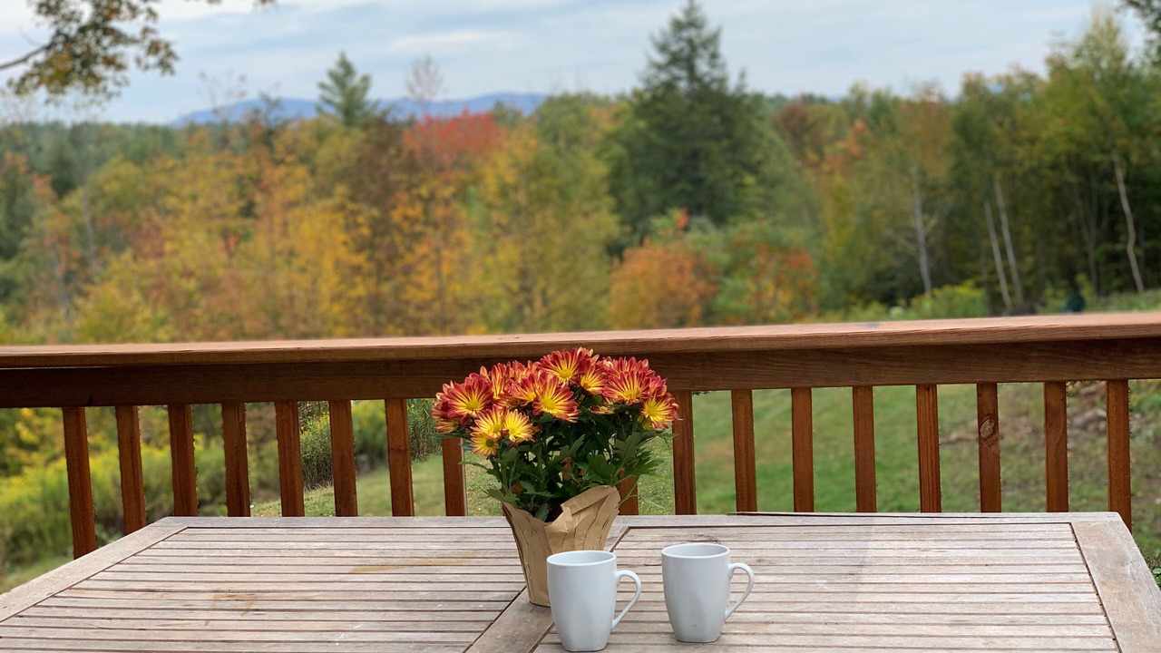 Photo of Outdoor in Winhall